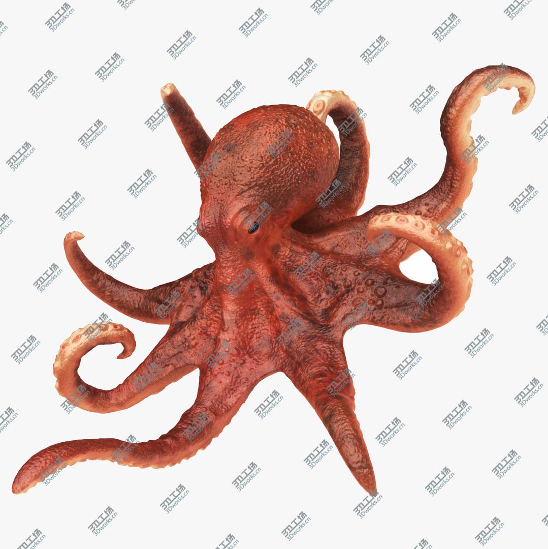 images/goods_img/2021040235/Underwater Animals Big Collection 13 in 1 model/2.jpg